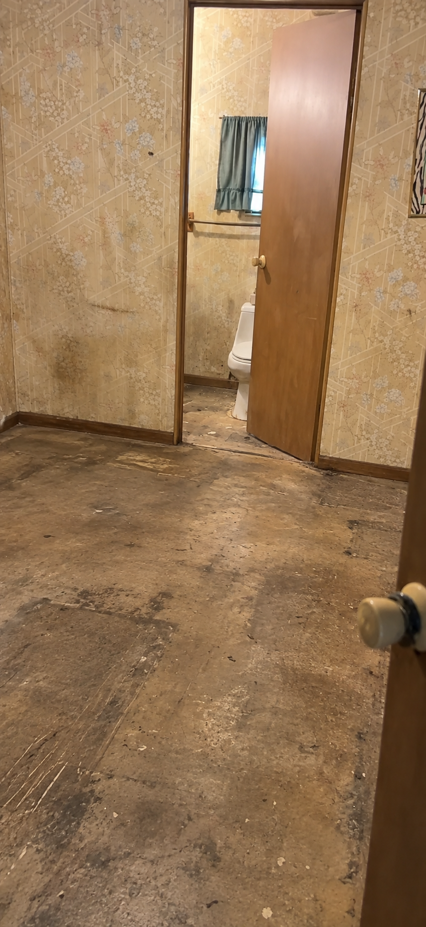 Home Bedroom after contents removal by Extreme Hoarding Cleaners