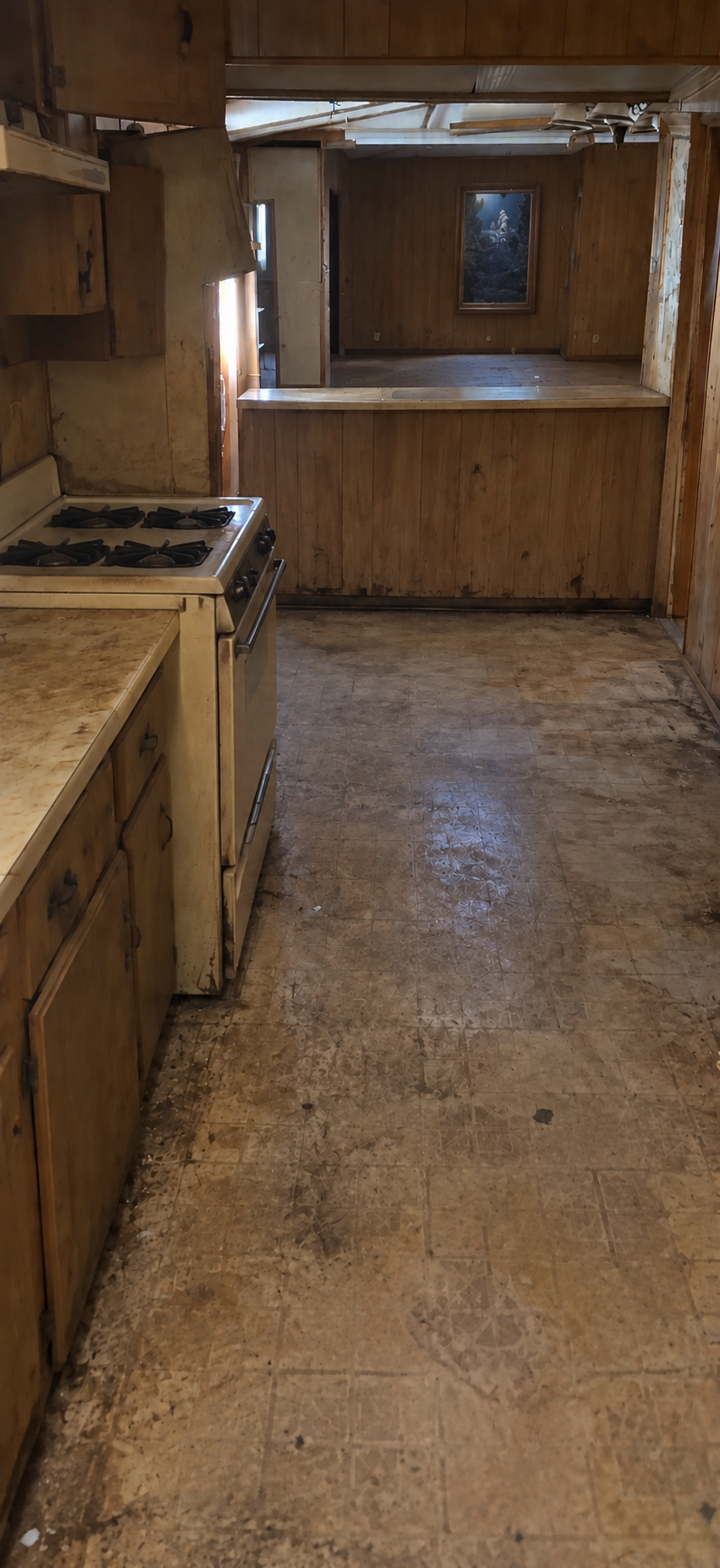Home Kitchen after contents removal by Extreme Hoarding Cleaners